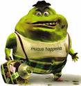 Practically Wisdom: Mr. Mucus Paid a Visit