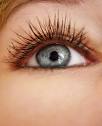 Eyelash extensions boston