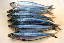sardines pronunciation