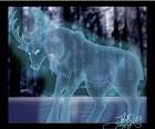 Cuál sería tu patronus? | Blog Hogwarts | Harry Potter Cuál sería tu patronus? | Blog Hogwarts | Harry Potter