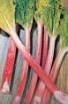 rhubarbe pronunciation