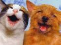 Happy Pets | Scary For Kids