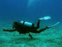 Roth Pond Regatta Scuba Diving