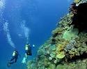 Scuba Diving in Australia, Australia Scuba Diving Resorts, Diving ...