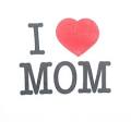 Marketers Engage with the Digital Mom « Conduit Blog