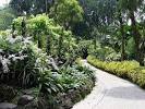 Singapore Botanic Gardens, Singapore, Singapore