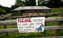 E coli outbreak at Surrey farm leaves four children seriously ill ...