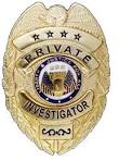 Private Investigator Q&A: Private Investigator Q&A by Steven Mize ...