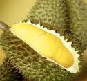 Health Humans lifestyle | Benefits of Durian