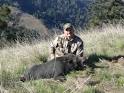 Northern California Wild Pig Hunts- Guided California Wild Pig ...