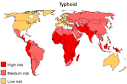 a Traveldoctor - Vaccinations and malaria prevention - Typhoid
