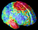 Schizophrenia .com - Schizophrenia Pictures - Brain Disease Process