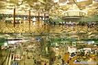 Singapore Attractions! Changi Airport | Southern Ridges | Kampong ...