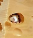 Super Hot Mama 9;s House: Canned Cheese ?!? That's gross, and cool, at ...
