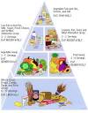What is vegetarianism
