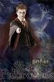 Harry Potter Stag Patronus Poster