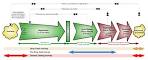 ICANN | Life Cycle of a Typical g TLD Domain Name
