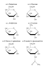 Figures - Biology Online