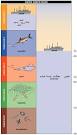 Fishing down aquatic food webs