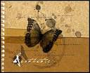 Designing Meaningful Aesthetics | Van SEO Design