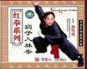 VCD Hong Style Kung Fu