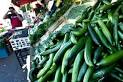 Nations Ban Vegetable Imports as E. Coli Panic Spreads - The Daily ...