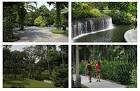 Singapore Tourism, Bontanic Garden | the tropical island's ...