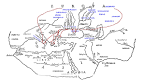 V.Stetsyuk - Turkic and Greek - Turkic World