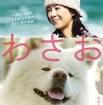 Wasao (Japanese Movie 2010) Trailer - Dramastyle