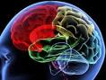 Gene connected to schizophrenia , bipolar disorder discerned