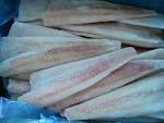 Alaskan Pollock Fillet / squid tube,ring (China Trading Company ...