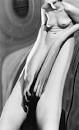 See full size image