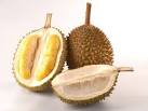 Durian Better than the papaya and watermelon