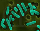 E. coli outbreak in day care : E. coli Blog : Food Poisoning ...