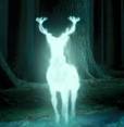 Patronus Charm - Harry Potter Wiki Patronus Charm - Harry Potter Wiki