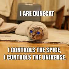 I are dune cat