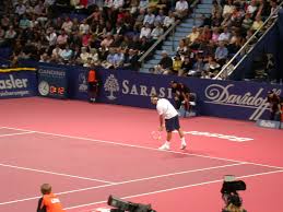 Roger Federer Picture 2