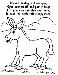 Donkey