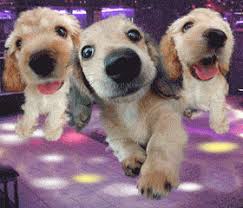 Dancing Dogs on Fetchfido x26s Free
