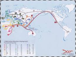  migration from Family Tree DNA.