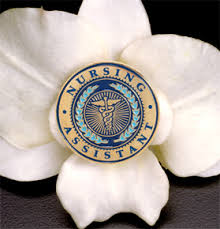 Nursing Assistant Lapel Pin