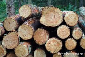Picture of Lumber Free Pictures