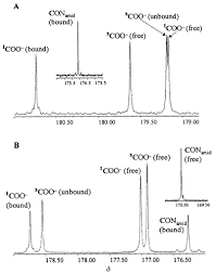 Bound A and free B carbonyl