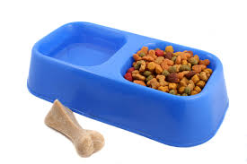 Healthy Dog Food