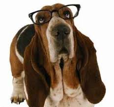 Basset Hound Pet products