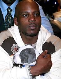 Image <b>DMX</b> Picture