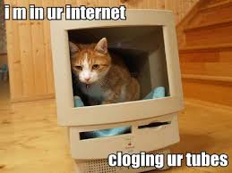i m in ur internet cloging ur tubes