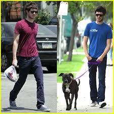 Image <b>Adam Brody</b> takes his pet pup for a <b>...</b> Picture