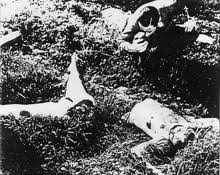 the Black Dahlia case