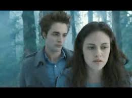 ... Not Directing Twilight: New Moon